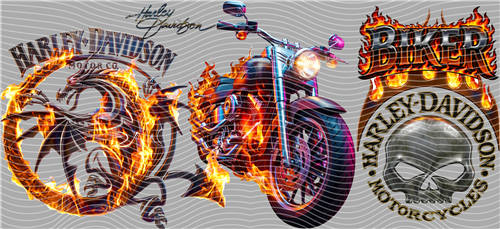 16oz Latest Bestseller-C 10205